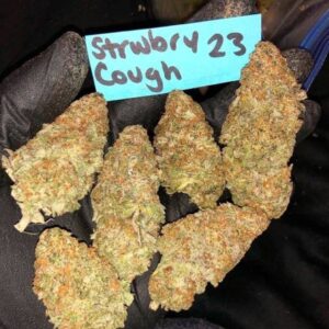 Strawberry Cough AAA-